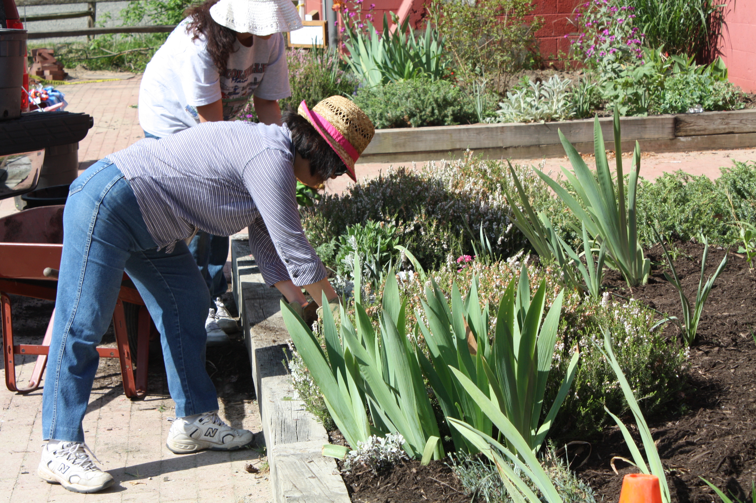 Green Hands volunteer clean-up 7